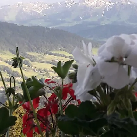 Haus Homann * 苏尔茨贝格